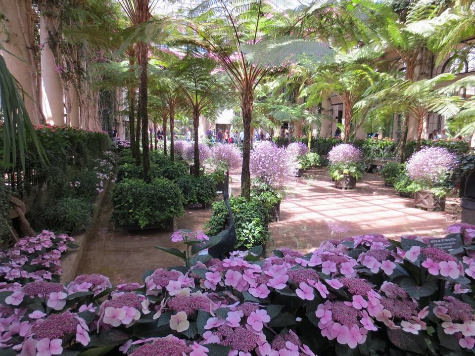 הגן הבוטני בפילדלפיה 547   Longood Gardens 