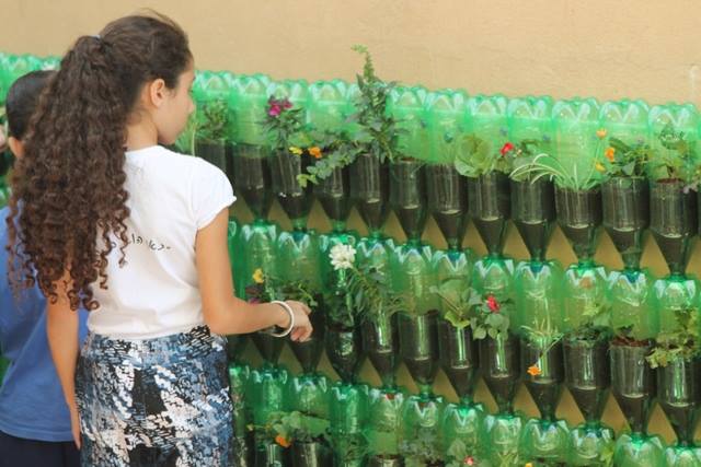 קיר ירוק מבקבוקים  הגן הסולארי