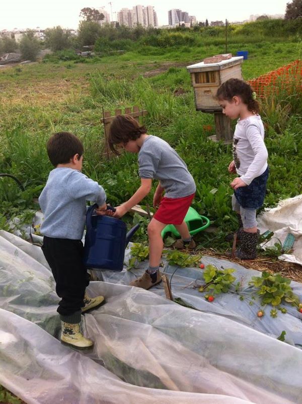 עבודה משותפת של ילדים בגן הירק 582