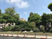 גינה בגן העיר בתל אביב, מבט מהשדרה