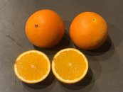 תפוז טבורי, וושינגטון