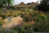צמחי ארץ ישראל משתלבים עם צמחי תרבות בגן ארץ ישראלי