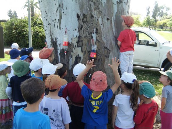 ילדים לומדים עצים
