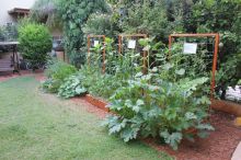 Square Foot Gardening, מינימום מאמץ ומקסימום תנובה