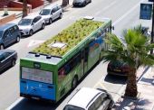 גגות ירוקים על אוטובוסים?