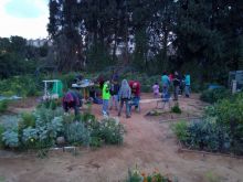 גינה קהילתית הכבאים רמת גן, הגינה מתפתחת